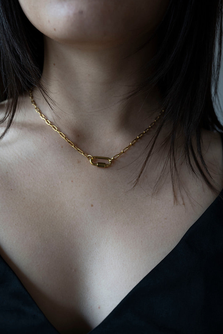 Link & Lock Necklace