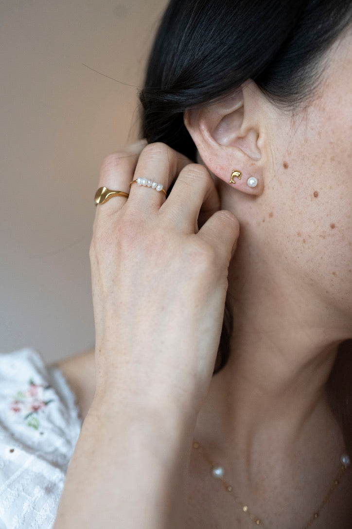Wave Rider Studs
