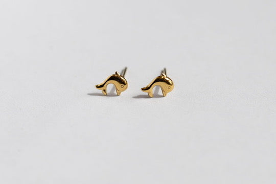 Wave Rider Studs