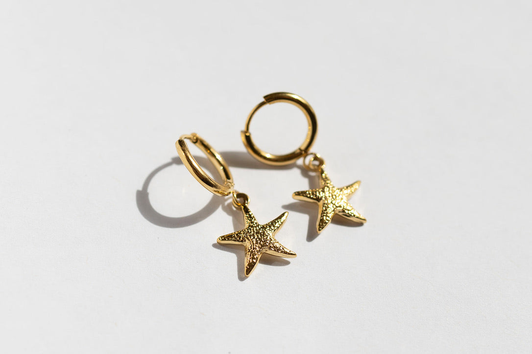 Starfish Earrings